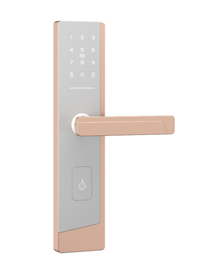 Smart Touchscreen Passcode Door Lock para um administrador e até 100 usuários