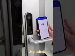 Peso bruto de 2,5 kg Bloqueio de porta de impressão digital para porta de entrada/porta de apartamento/porta de pátio/porta de hotel