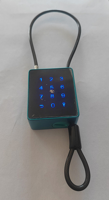 Fechaduras inteligentes para fora sem chave com cabo de 4 mm e controle APP