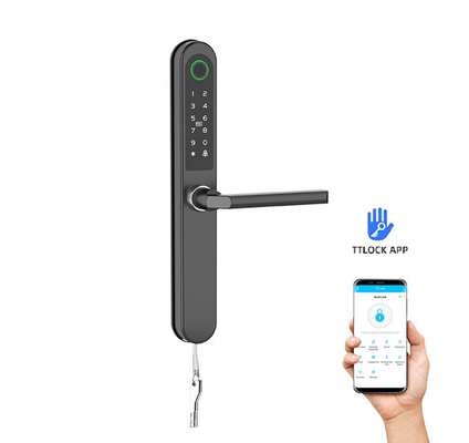 Feito Bloqueio de porta Rfid Pintado Comércio Bluetooth WiFi Cartão especial / Código / Impressão digital / APP