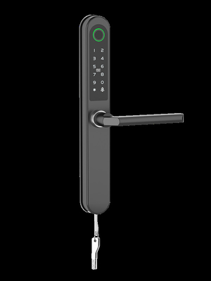 Controle remoto Bluetooth Wifi Smart Lock Via Gateway Figura especial Impressão digital