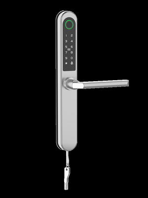 Controle remoto Bluetooth Wifi Smart Lock Via Gateway Figura especial Impressão digital