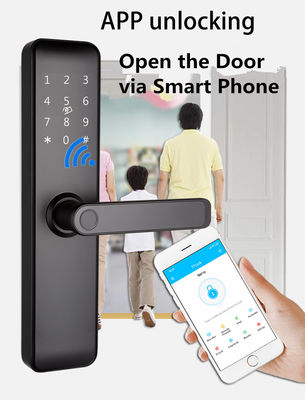 Blocos inteligentes sem chave Bluetooth WiFi RFID pintados para apartamentos porta de entrada porta de quarto