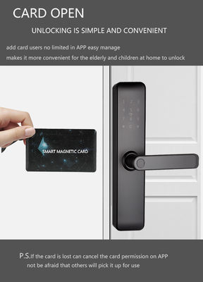 Blocos inteligentes sem chave Bluetooth WiFi RFID pintados para apartamentos porta de entrada porta de quarto