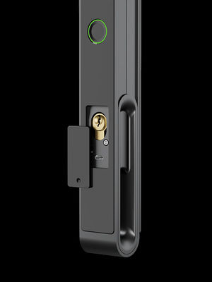 Face / Palm Vein Smart Gate Lock 7-in-1 Desbloqueio IP65 Alumínio