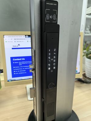 Vídeo Olho de Gato Veia de Palma / Face Desbloqueio Wifi Smart Lock Alumínio IP65