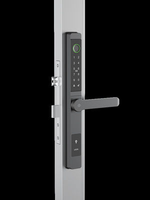 Reconhecimento facial / Vídeo de olho de gato / Palm Vein Smart Door Lock IP65 Aluminum