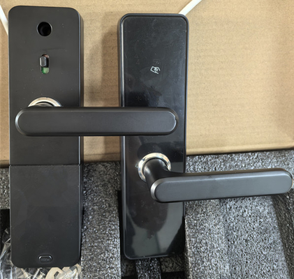 Liga de alumínio acabamento pintado Bluetooth fechadura de porta controle remoto com Bluetooth / conectividade Wi-Fi