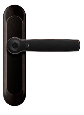 ROHS Smart Fingerprint Bluetooth Lock Porta AI Voz Garrafa de liga de zinco