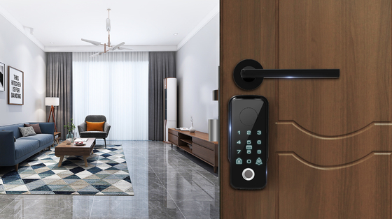 Bloqueio de porta inteligente Bluetooth automático intercâmbio padrão europeu universal